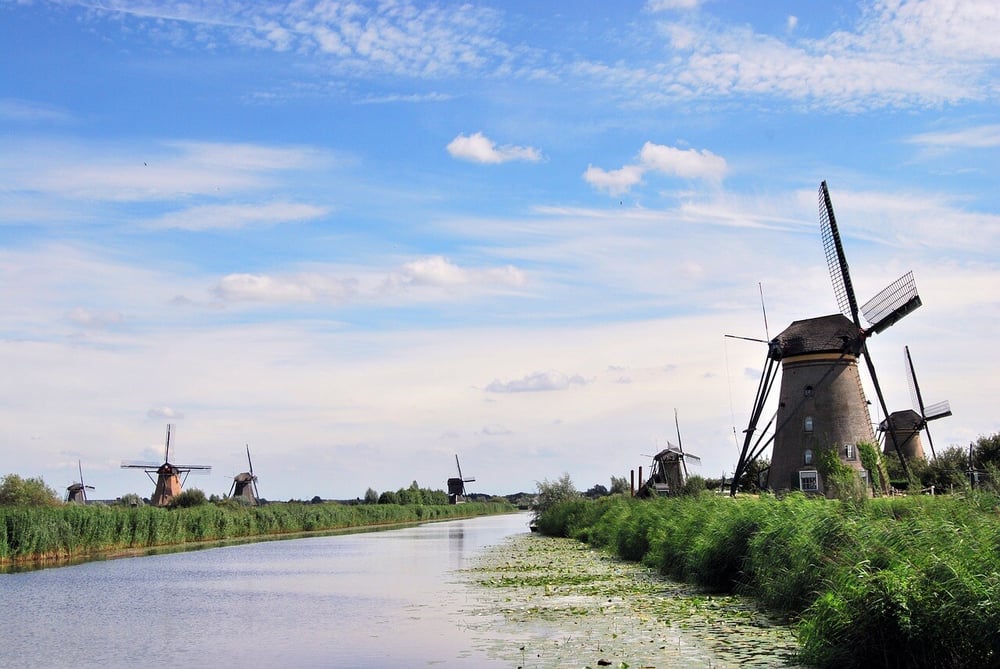 the-windmills-555944_1280